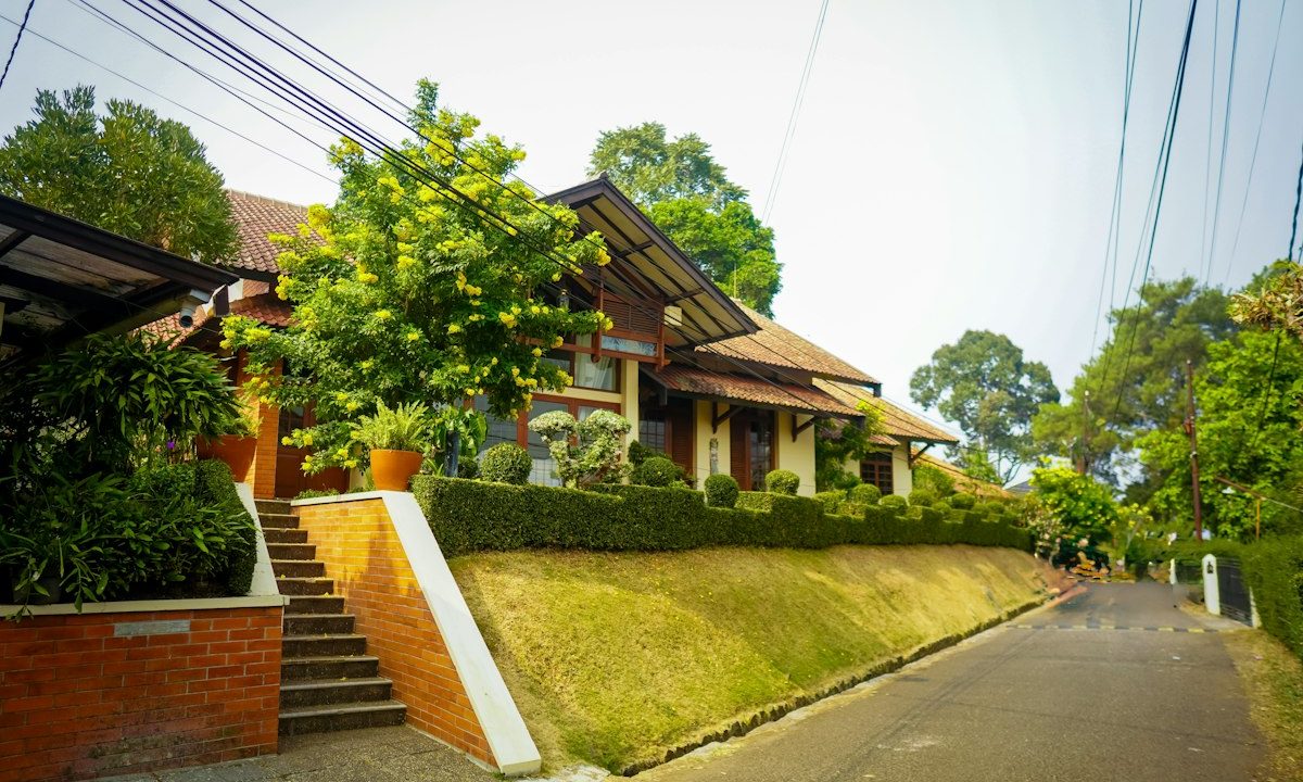 Rumah tropis modern di antara pepohonan hijau